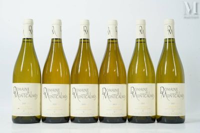 six bouteilles de vin sont alignées sur une surface blanche