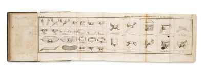 an old book with a bunch of drawings on it