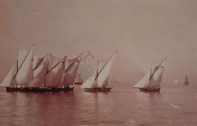 de nombreux voiliers qui naviguent sur l'eau