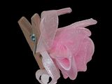 a teddy bear with a pink tutu on a clothes peg