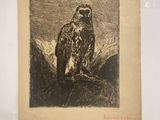 dessin représentant un oiseau de proie perché sur une branche d'arbre