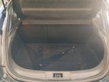 a trunk of a car with a broken umbrella in it