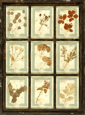 une image représentant un tableau dans lequel figure un bouquet de fleurs pressées