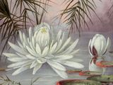 a painting of two white waterlilies in a pond
