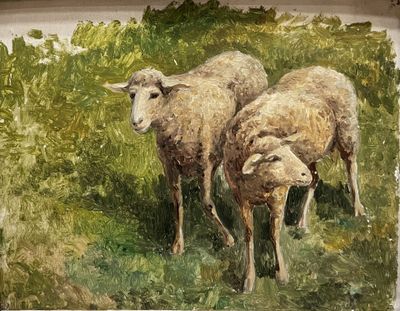 two sheep standing in a field of green grass