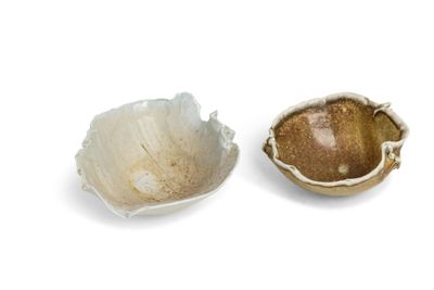a small bowl and a larger bowl sitting next to each other
