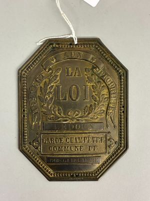 an image of a gold medal hanging on a white wall