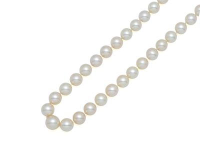 gros plan d'un collier de perles sur fond blanc