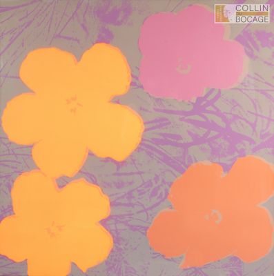 des fleurs violettes, orange et roses sur fond gris