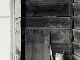 black and white photograph of a window and shelf in an old wooden cabin