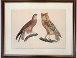 Deux oiseaux sont perchés sur une branche devant un mur blanc.