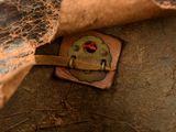 a close up of a piece of leather with a ladybug on it
