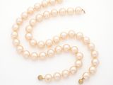 a single strand of pearl necklace on a white background