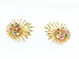 pair of gold tone earrings with multi colored stones