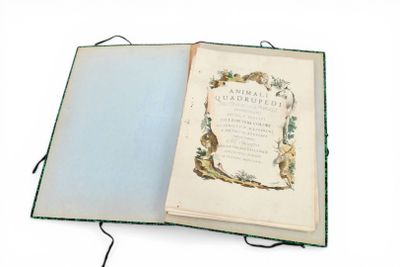 Innocente Alessandri e Pietro Scattaglia, animali quadrupedi…