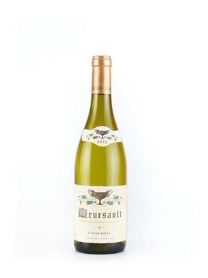 une image représentant une bouteille de vin blanc sur fond blanc