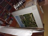 une photo d'un cactus dans une boîte posée sur une table