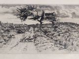 an image of a drawing of a lone tree on a hill