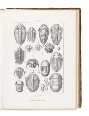 an open book with drawings of trilopods and other animals