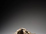 une image représentant une sculpture d'une femme allongée sur un rocher