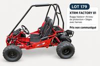 Buggy XTRM 81 212 cc Bolt, 4 temps, automatique - Véhicule n…