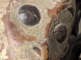 a close up of a person holding a decorative object