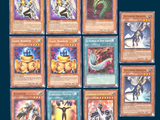 a lot of cards that are on the table