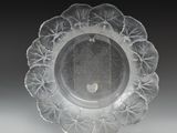 une image représentant une assiette en verre transparent sur laquelle sont disposées des feuilles