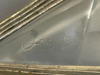 DEGUE (photo 3)
