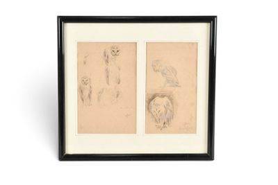 Deux dessins représentant un lion et une girafe sont présentés dans un cadre noir
