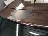 a reflection of a bird on the windshield of a car