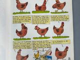 an open book with a picture of chickens on it