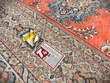 a carpet that has been cleaned and is on the floor