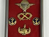 a picture of a picture of some badges in a frame