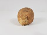 an image of a rotten potato on a white surface