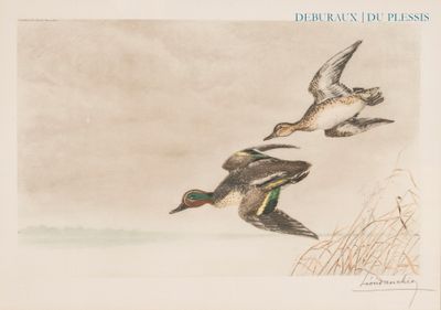deux canards volant dans le ciel au-dessus d'un plan d'eau