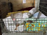 une cage métallique remplie d'articles pour bébés dans une pièce