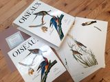 trois livres posés sur une table en bois, l'un à côté de l'autre