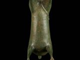 an image of a bronze figurine of a bull