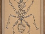 une image représentant un dessin d'araignée sur une feuille de papier