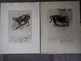 deux dessins représentant un chien et un chat allongés sur un lit