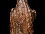 an image of a statue of a woman with a veil on it ' s head