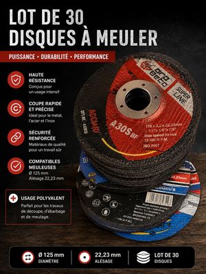 lot de 30 disques à meuler