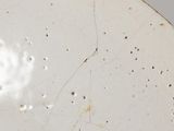 a close up of a white plate with a butterfly on it