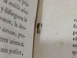 an open book with a picture of a bug on it