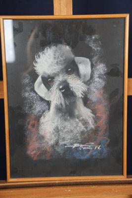 photo encadrée d'un chien avec une barbe blanche et un chapeau