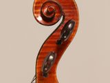 a close up of the back of a violin