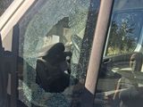 a car that has a broken window and a dog in the back seat