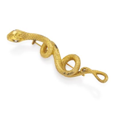 an image of a gold snake broochle on a white background
