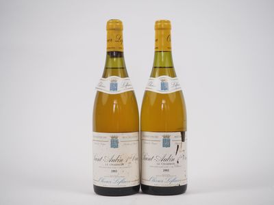 deux bouteilles de vin posées l'une à côté de l'autre sur une surface blanche